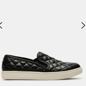 Steve Madden ECENTRCQ BLACK